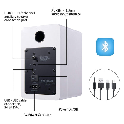 Sanyun SW208 Aktive Bluetooth Regallautsprecher – Weiss