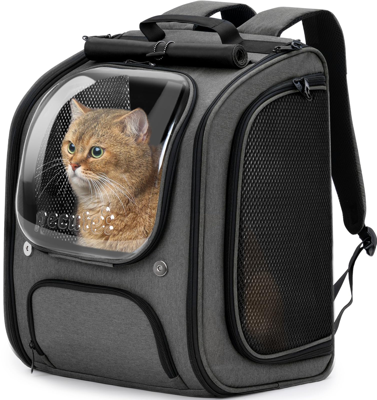 pecute Katzenrucksack Bubble – Haustier-Tragtasche grau, graue Rucksack-Tragtasche mit transparenter Bubble zum Haustiertransport.