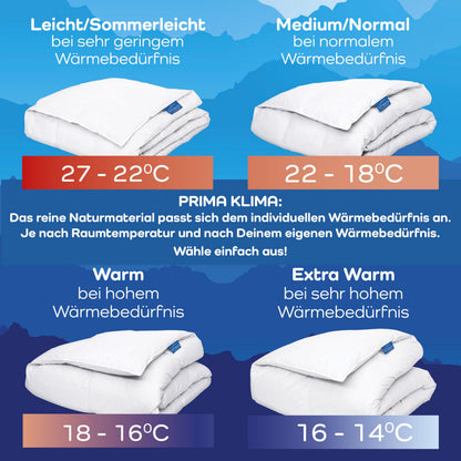 LINEA by böhmerwald Comfort Daunendecke - normal 135x200 weiss