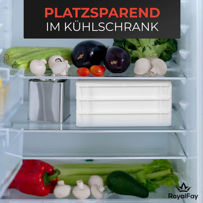 RoyalFay Pizzaballenbox 2er Set Gärbox 30x40x8 cm mit Deckel weiss