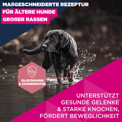 Eukanuba Senior Trockenfutter mit Huhn für grosse Rassen, 15 kg