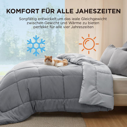 BEDSURE Bettdecke 200x200 cm Ganzjahresdecke Steppdecke Grau