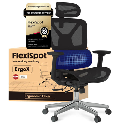 FLEXISPOT ErgoX ergonomischer Bürostuhl mit 3D-Armlehnen, schwarz