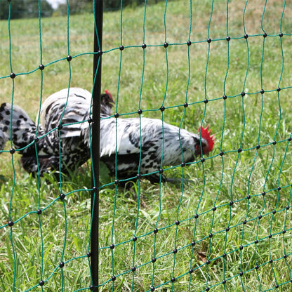 VOSS.farming Geflügelnetz Classic, Hühnerzaun, 112 cm, 25 m, grün