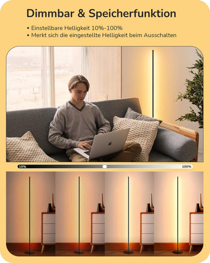 EDISHINE LED Stehlampe dimmbar, höhenverstellbar – 2er-Set schwarz