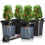 Spider Farmer DWC Hydrokultur Anbausystem 27L - 4 Eimer, 4 schwarze Kunststoff-Eimer zur effizienten Tiefwasserkultur von Pflanzen.