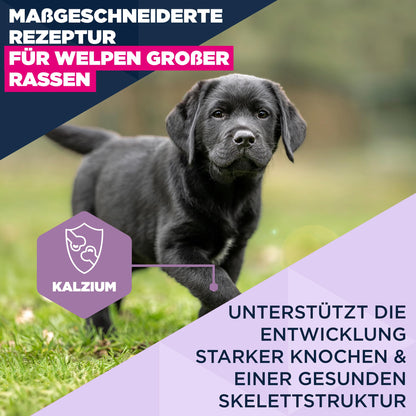 Eukanuba Welpenfutter mit Huhn, Trockenfutter für grosse Rassen, 15 kg