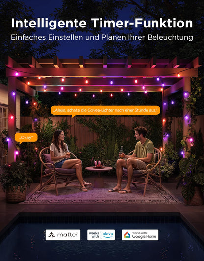 Govee Smart RGBICW LED Aussen-Lichterkette - 15 Meter