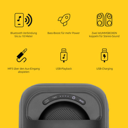 TechniSat LAUTA WUMMSBOX Bluetooth Partybox mit LED-Lichtshow