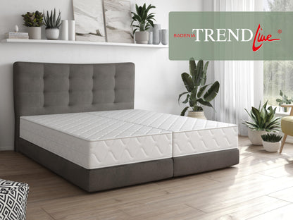 Badenia Trendline BT100 Duo XXL 7-Zonen Matratze - H2/H3 100x200 cm