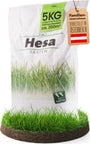 Hesa Gebrauchsrasen RSM 2.3 Rasensamen 5 kg für 200 m²