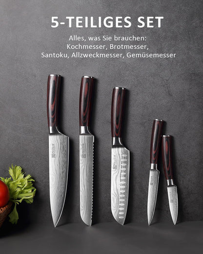 PAUDIN 5-teiliges Küchenmesserset - Carbon Edelstahl Klingen