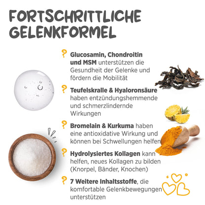 maxxipaws maxxiflex+ Gelenktabletten für Hunde, 120 Stück
