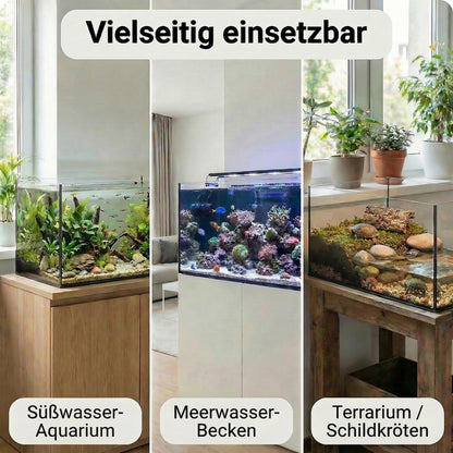Pondlife Aquarium Glasbecken 60x30x30 cm aus 4 mm Floatglas