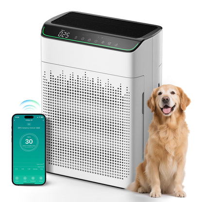 MERONTE ME5866 Luftreiniger mit HEPA-Filter, CADR 340 m³/h, AQI-Farbanzeige