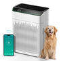 MERONTE ME5866 Luftreiniger mit HEPA-Filter, CADR 340 m³/h, AQI-Farbanzeige