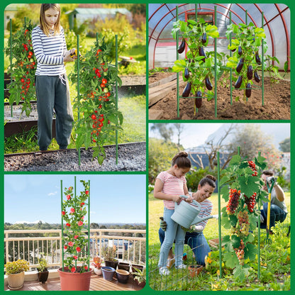 MQUPIN Tomaten Rankhilfe 130 cm Metall, 6 Stück, höhenverstellbar