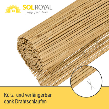 Sol Royal SolVision S36 Schilfmatte Sichtschutz 160x600 cm
