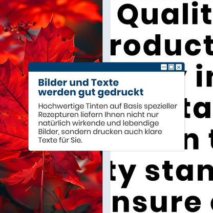 Washope PG-540 XL Tintenpatronen schwarz 2er-Pack für Canon Pixma