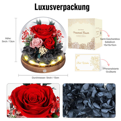 MAMAMIKO Konservierte Rose im Glas mit LED-Licht, Ewige Rose Rot