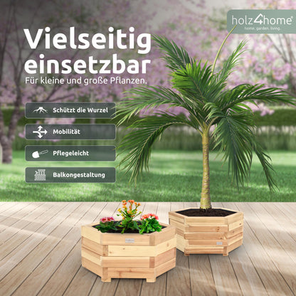 holz4home Pflanzkübel XL aus Tannenholz, sechseckiger Blumenkübel