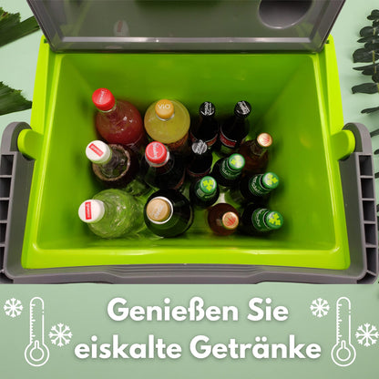 Steinborg Kühlbox elektrisch 30 Liter mit Warmhaltefunktion 12V/230V