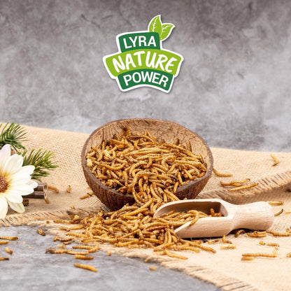 Lyra Pet® Mehlwürmer getrocknet Protein-Vogelfutter 10 kg