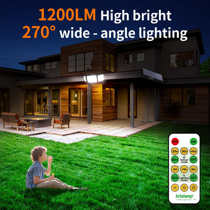 INTELAMP Solar-Strahler mit Bewegungsmelder, 1200 lm, IP65