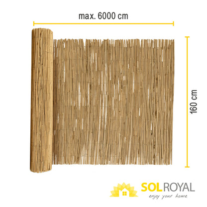 Sol Royal SolVision S36 Schilfmatte Sichtschutz 160x600 cm