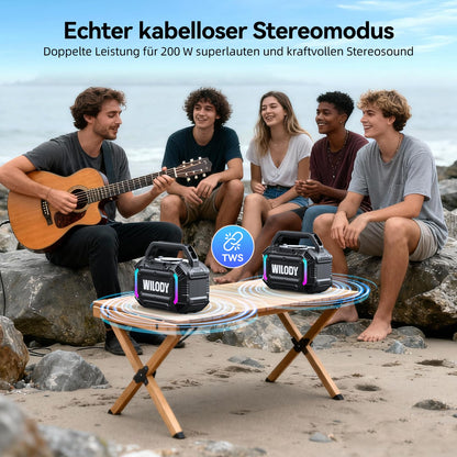 Wilody 100W Bluetooth Lautsprecher tragbar, IPX7 wasserdicht, Schwarz