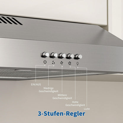 FIREGAS Dunstabzugshaube 60 cm Unterbau, Umluft & Abluft, Edelstahl