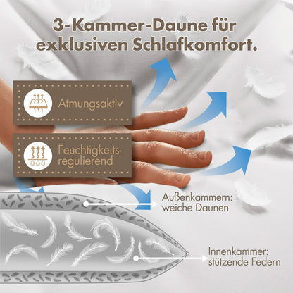 LILENO HOME 3-Kammer Daunenkissen Kopfkissen – 80x80 2er Set