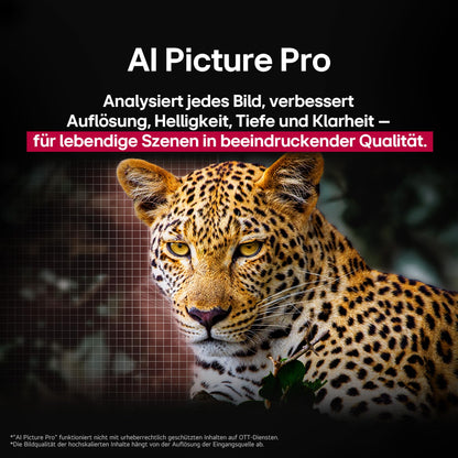 LG OLED55B59LA 4K OLED TV 55 Zoll 120Hz - 2025 Modell