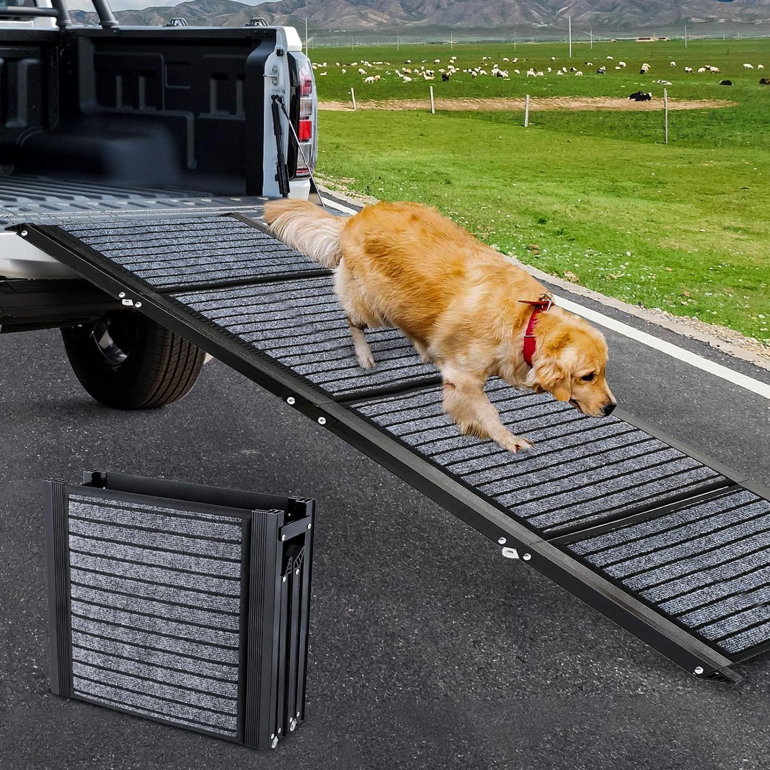 Faltbare Hunderampe Auto 180x50cm – Rutschfest für grosse Hunde SUV/LKW. Ein-/Ausstiegshilfe.