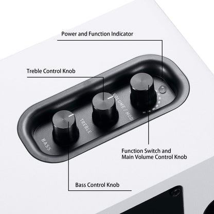Sanyun SW208 Aktive Bluetooth Regallautsprecher – Weiss