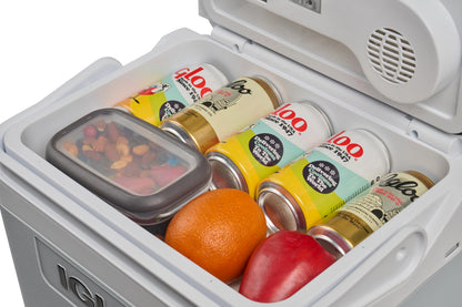 Igloo IE24 Elektrische Kühlbox 24L, 12V/230V für Auto und Camping