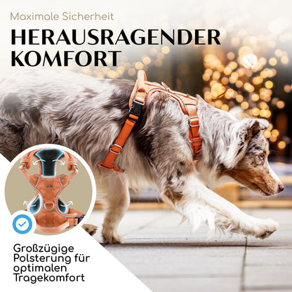 FREUDENTIER Clyde Hundegeschirr mit Mesh-Polsterung, Orange, M