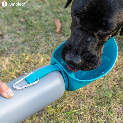 LumoLeaf Isolierte Trinkflasche für Hunde, Edelstahl, 800 ml, Blau