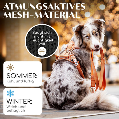 FREUDENTIER Clyde Hundegeschirr mit Mesh-Polsterung, Orange, M