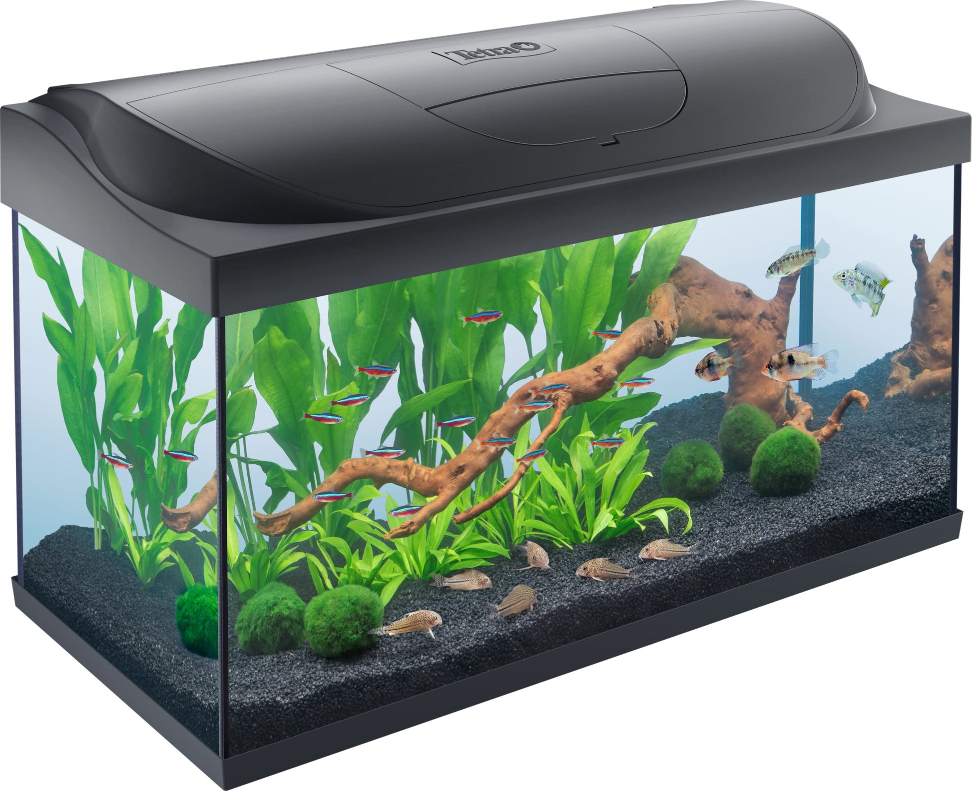 Tetra Starter Line 105 L Aquarium Komplett-Set Tag/Nacht LED: Rechteckiges Aquarium mit Tag/Nacht LED für Zierfische.
