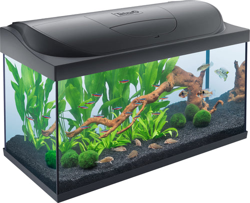 Tetra Starter Line 105 L Aquarium Komplett-Set Tag/Nacht LED: Rechteckiges Aquarium mit Tag/Nacht LED für Zierfische.
