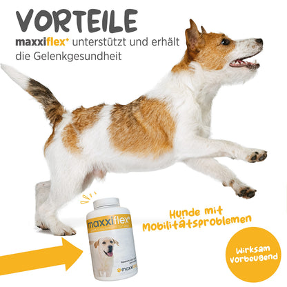 maxxipaws maxxiflex+ Gelenktabletten für Hunde, 120 Stück