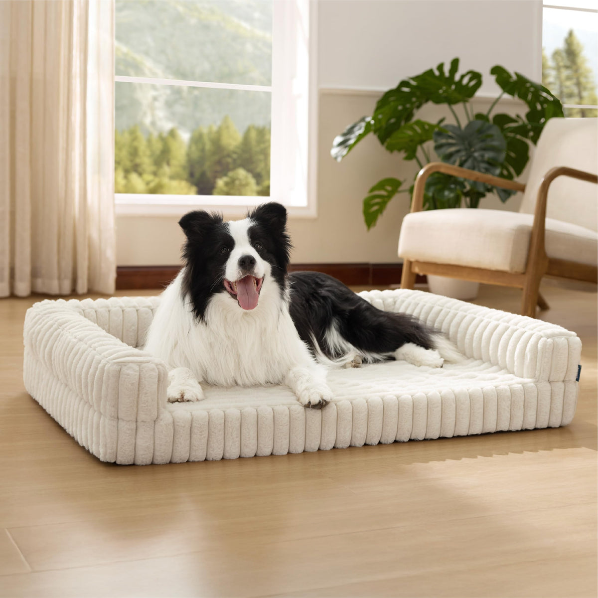 BEDSURE orthopädisches Hundebett für grosse Hunde, Creme, 89 x 64 cm – Hundesofa mit Cordbezug und Polsterrand
