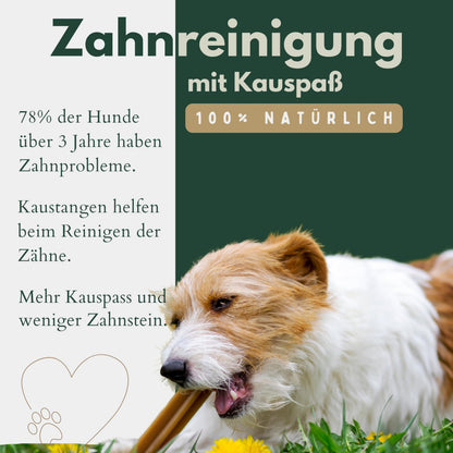 TIER HELDEN getrocknete Rinderkopfhaut für Hunde 25 cm, 5 kg
