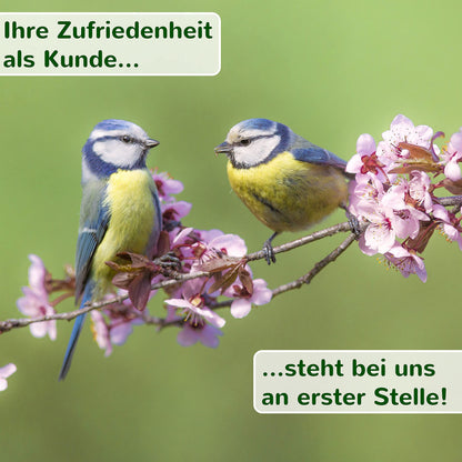 Steady Nature Meisennistkasten aus FSC-Holz, 28/32 mm Einfluglöcher