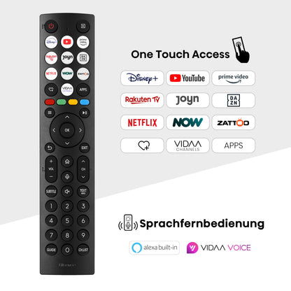 Hisense 55E6NT Fernseher 4K UHD Smart TV 55 Zoll, Schwarz