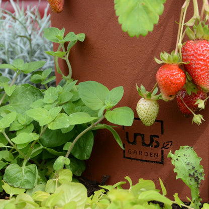UNUS Garden Kräuterspirale Edelrost, 3 Ebenen, Ø 40–120 cm