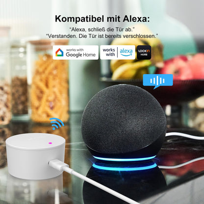 Lockin G30 Smartes Türschloss – WLAN, Keypad Pro & Fingerprint, Grau