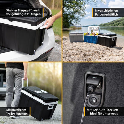 TZS First Austria Kühlbox 45L thermoelektrisch, 12V/230V, schwarz