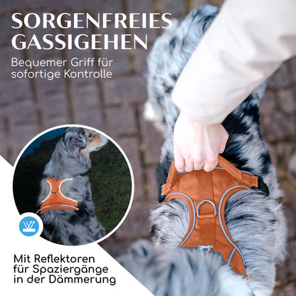 FREUDENTIER Clyde Hundegeschirr mit Mesh-Polsterung, Orange, M